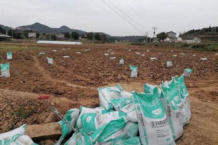 冬季海棠花怎么施肥 冬季海棠花施肥方法