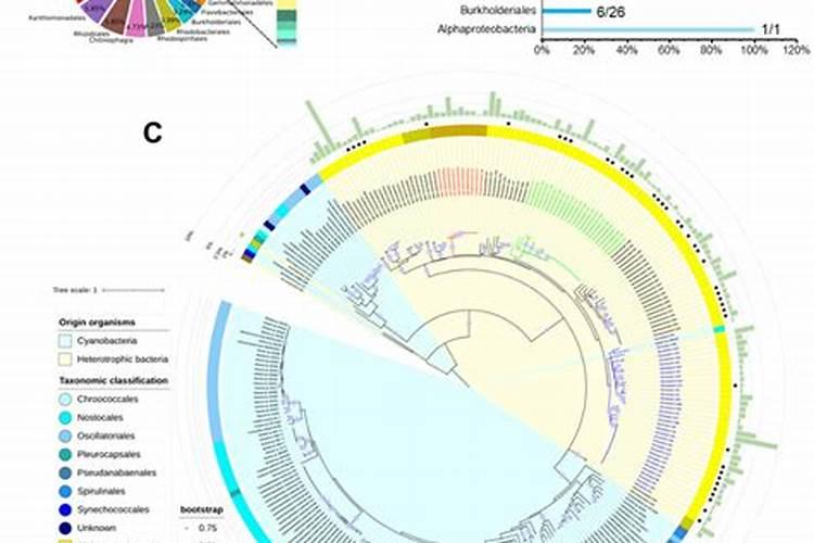 池塘里蓝藻怎么处理 鱼塘长蓝藻是什么原因