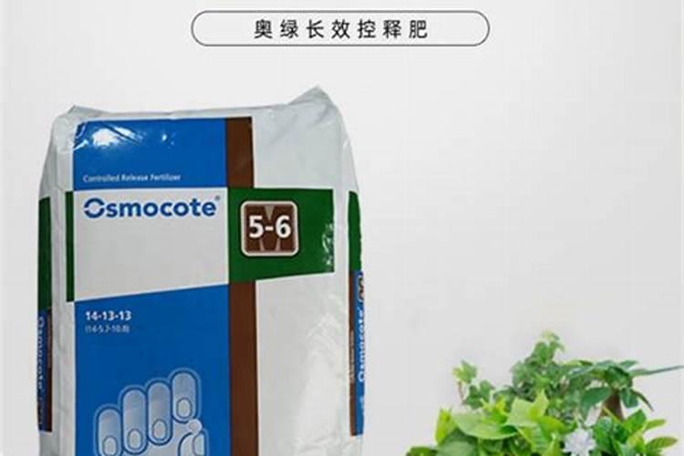 大棚,温室桃树新品种怎样栽培管理