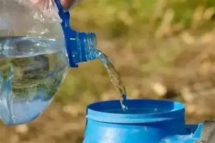 河南能种荔枝吗