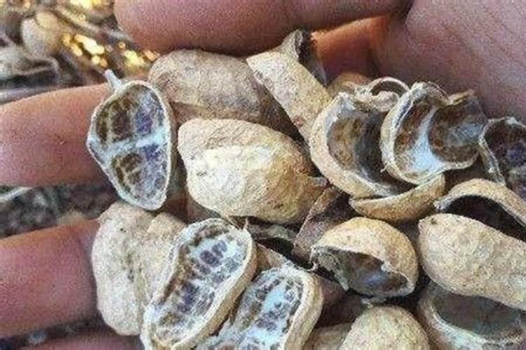 花生米能当花肥用吗