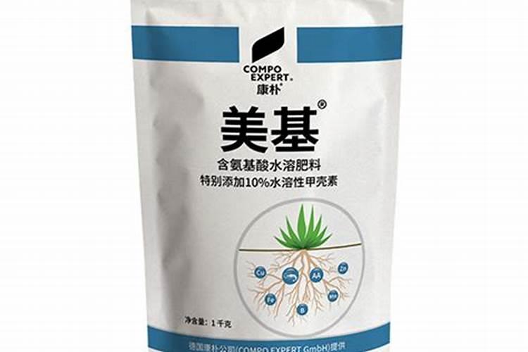 月季打药技巧月季病虫害打药具体步骤分享