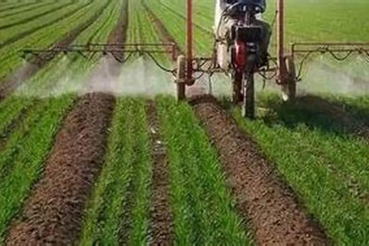 种麦子用什么复合肥好