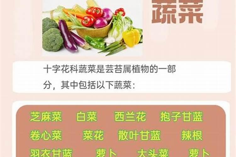 卷心菜什么时候种？如何正确施肥？