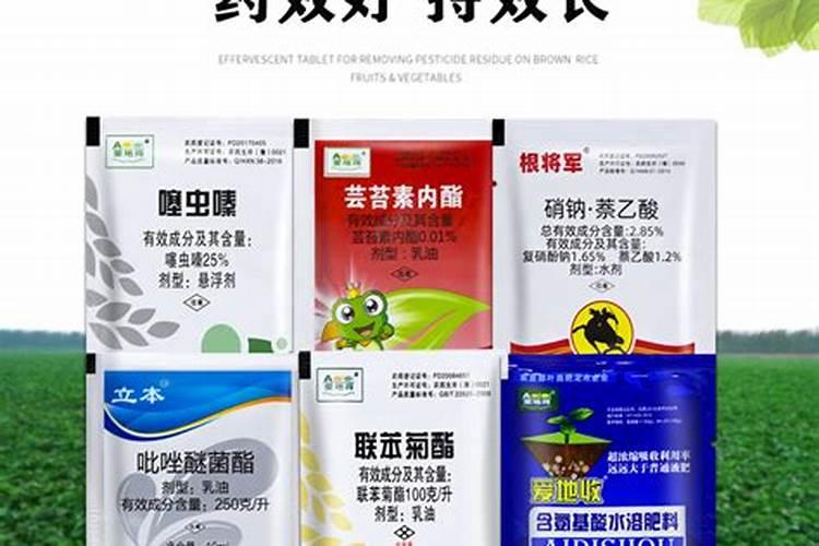 辣椒得了病毒病,打了毒氟磷缓解后辣椒还有继续澎大吗