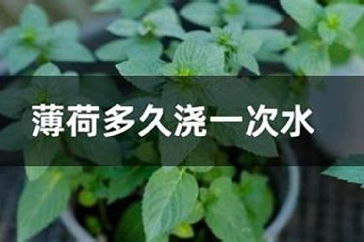 铺钙肥有什么作用吗