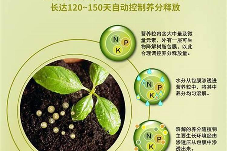 掺混肥与控释肥的区别？