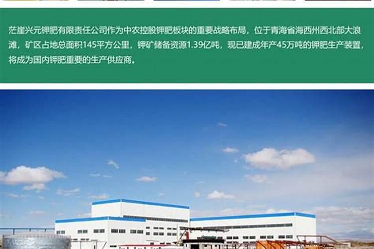 盐湖提锂龙头股有哪些？