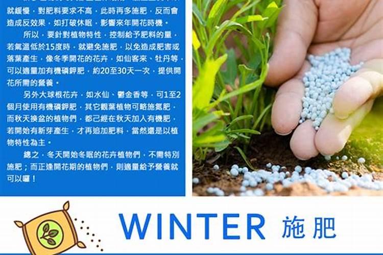 植物冬天可以施肥吗 植物冬天可不可以施肥