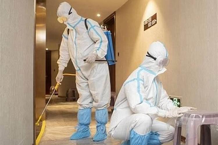 西瓜甜瓜种植中,哪些农药是被禁用的