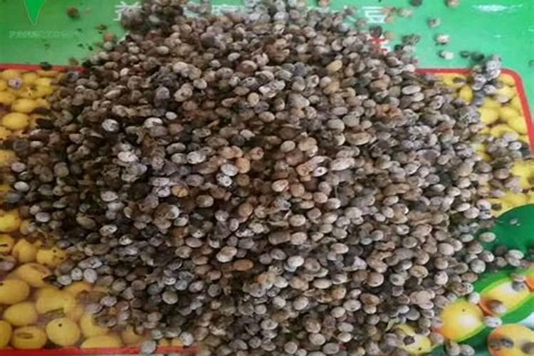 黄豆泡水浇花是生的好还是煮熟好