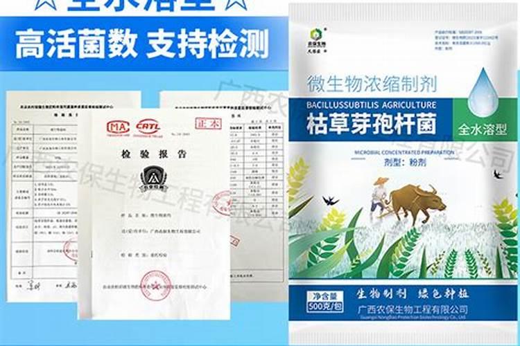 先正达益施帮对玉米田除草剂在花生上的药害能缓解吗？