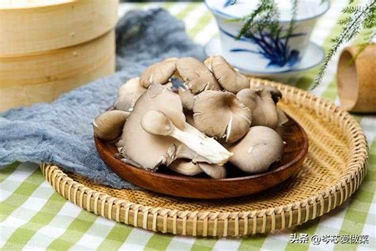 我家平菇天天浇水为啥死了呢？