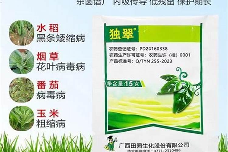 20252029年中国有机硅产业发展预测及投资分析报告