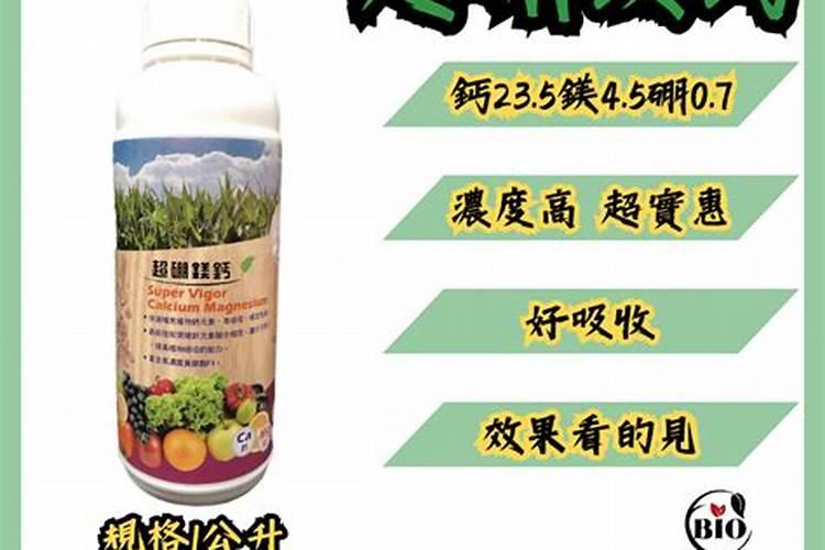 玉米出苗发黄什么原因