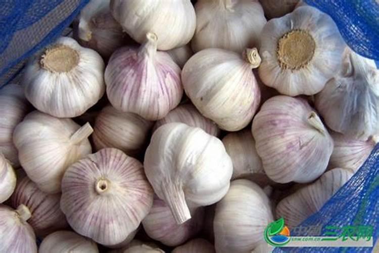 水产用矿源黄腐酸钾可用在农作物吗？