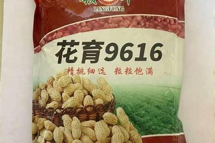 什么东西可以当成盆栽的肥料,发财树用什么肥料最好