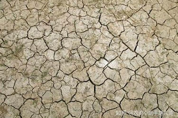 没有添加剂的零食有哪些