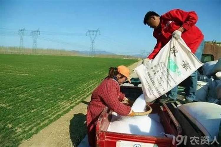 尿素可以喷施叶面肥吗