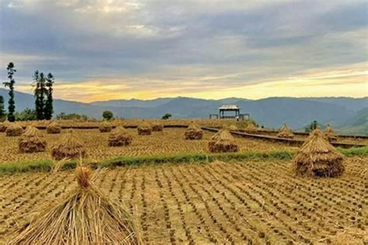 请问？哪个国家的硼肥比较好？