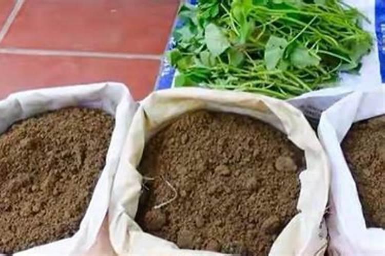 种菜为什么要用农家肥？有什么优缺点？