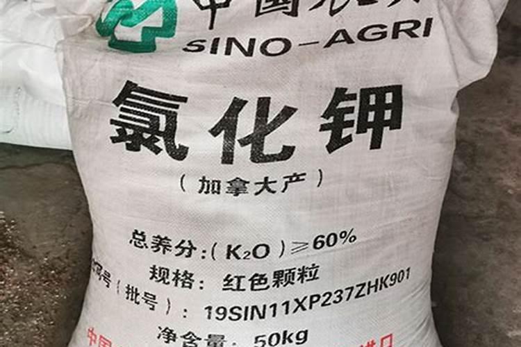 锥栗树嫁接苗缺钾应该用什么肥料？