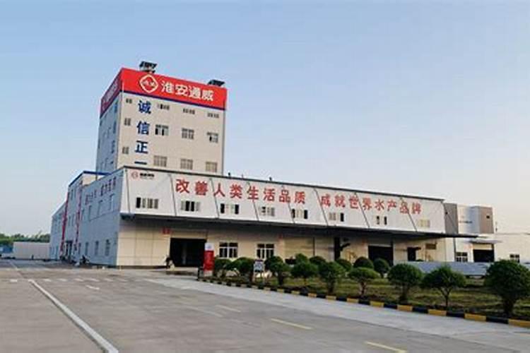 鲤鱼的饲料选择什么样的比较好？