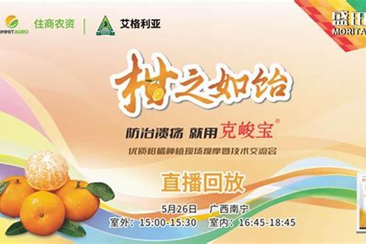 使用克峻宝杀菌剂在柑橘上会出现浮皮现象吗？