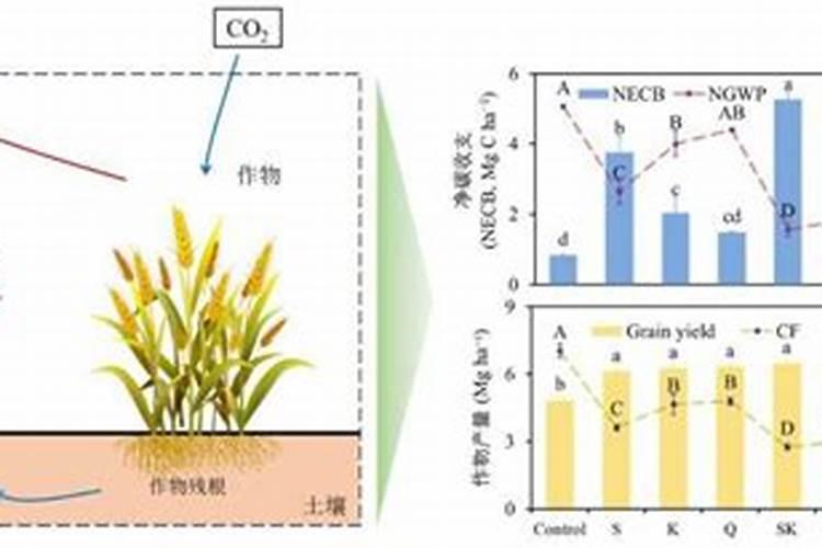 今年肥价有点高,肥料销售回到专营时代就会把价格降下来吗？