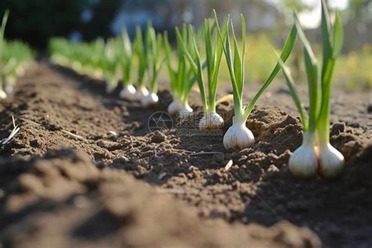 买了康益无忧个人住院医疗定额给付型保险三个月后,检查时有妇科疾病能...