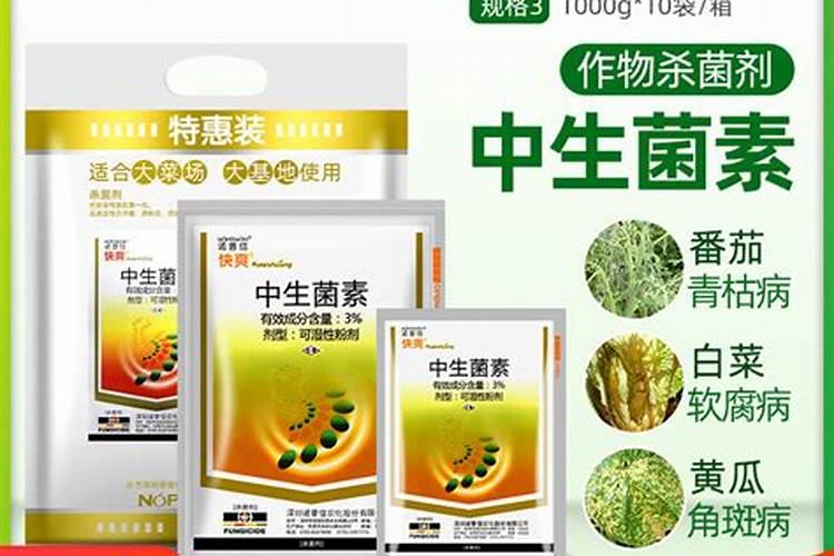 白菜打什么杀菌药好