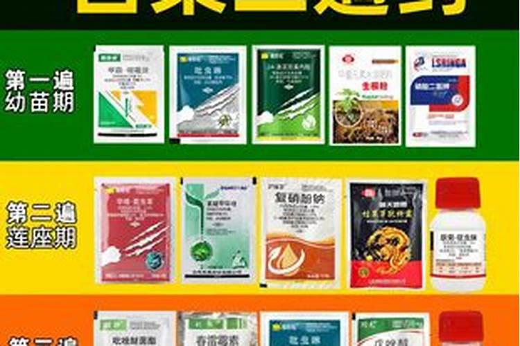 白菜霜霉病用什么药效果最好