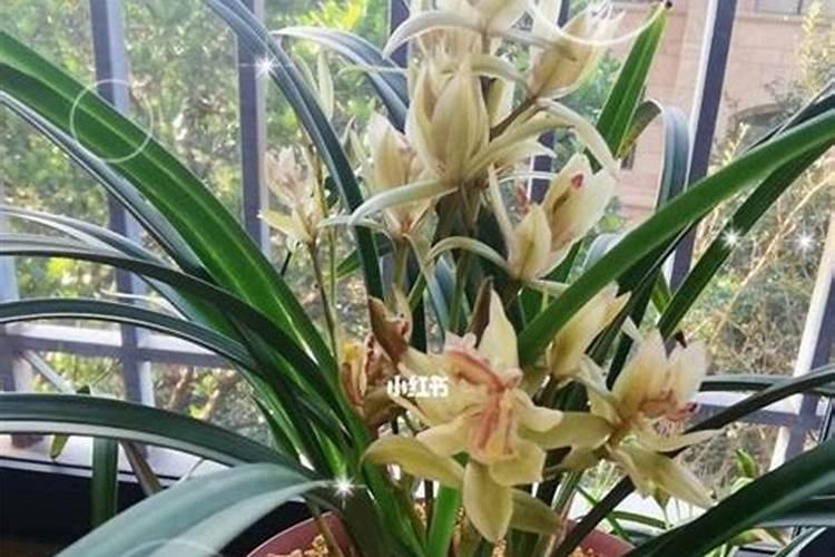 ...破解植物 “吃氮密码”:N15 标记氮肥如何重塑现代农业？