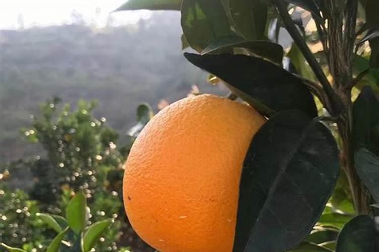 除草剂打完一个多小时下雨了还管用吗？