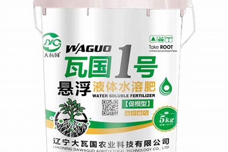 香菜喷什么叶面肥长得快 香菜喷什么叶面肥才能长得快