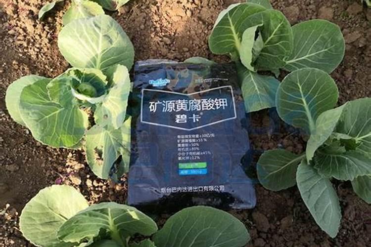 苹果树能用矿源黄腐酸钾吗？