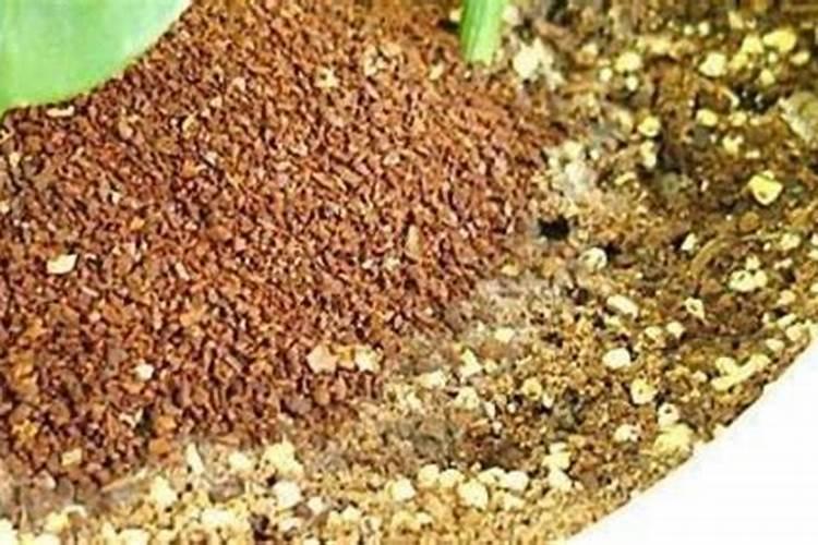 硼肥的用量、作用及使用方法
