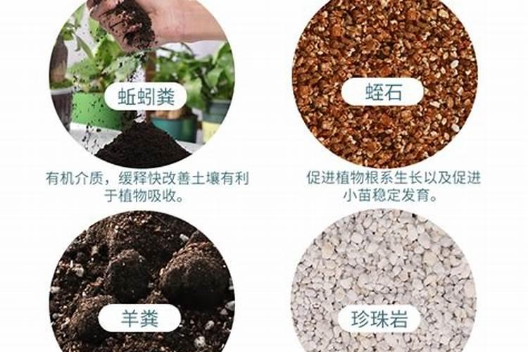 芸苔素内酯哪个牌子好？