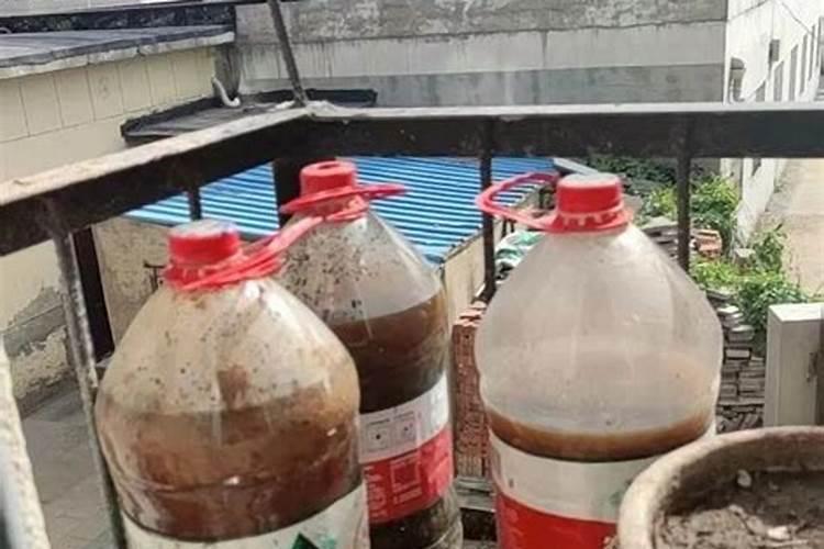 什么时候给花施肥最好 何时给花施肥最好