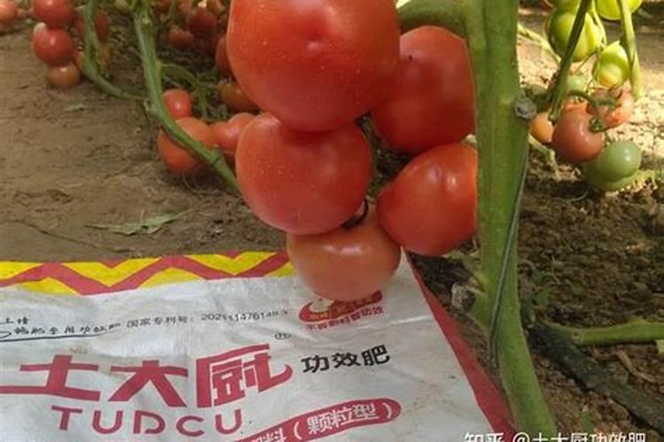 肥料级柠檬酸螯合铁哪个品牌靠谱