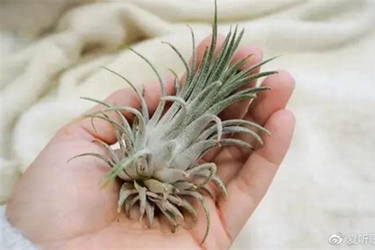 净水机单膜和双膜有什么区别