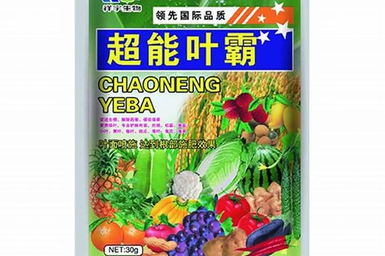 柑橘促花时间和药物 促花方法要点