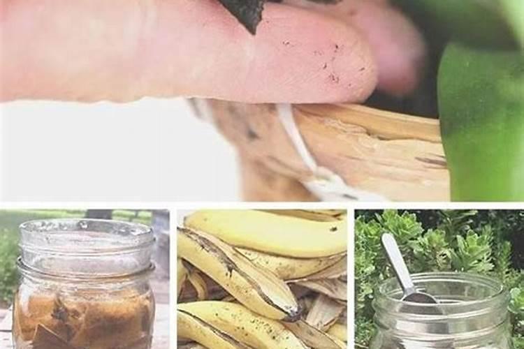 辣椒用什么肥料做追肥最好