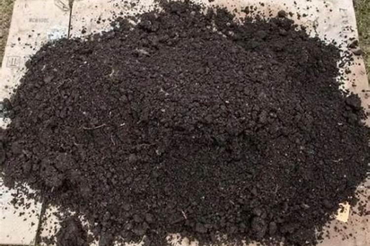 施化肥究竟是雨前,还是雨后好？