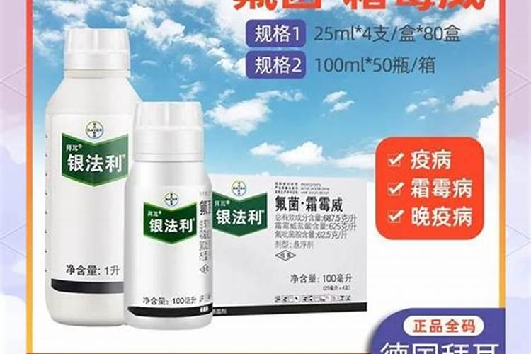 姬蔷薇上盆叶子发黄怎么办