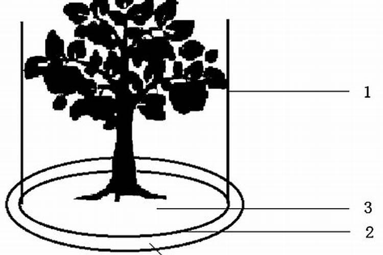 小麦每亩用几斤钾肥