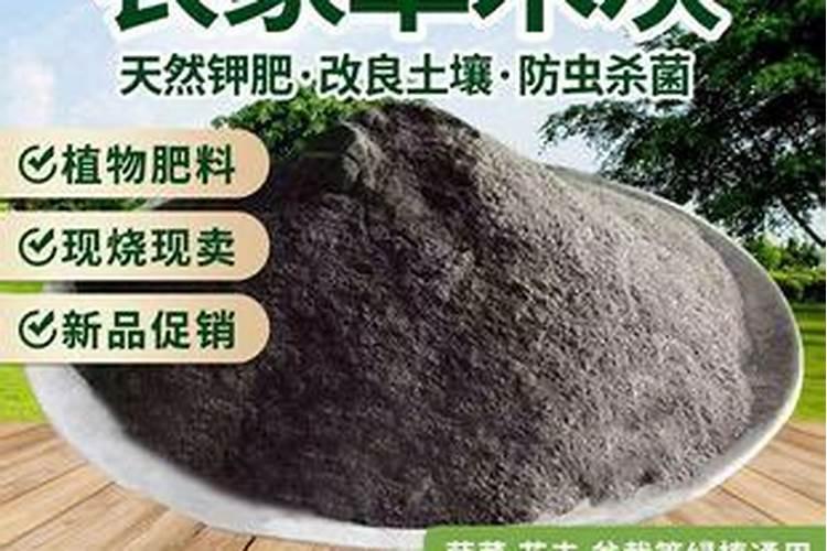 施用草木灰是什么肥料