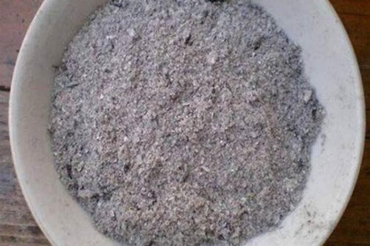 温棚种西葫芦的方法及温度冬天能种吗