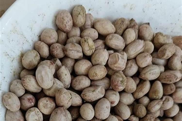 变质花生米怎么做肥料