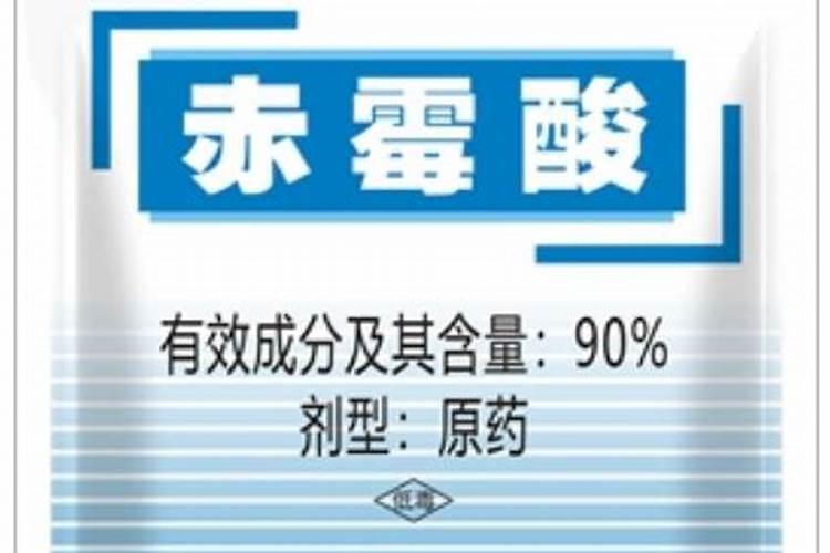 蟹爪兰嫁接几天看成活 方法是什么